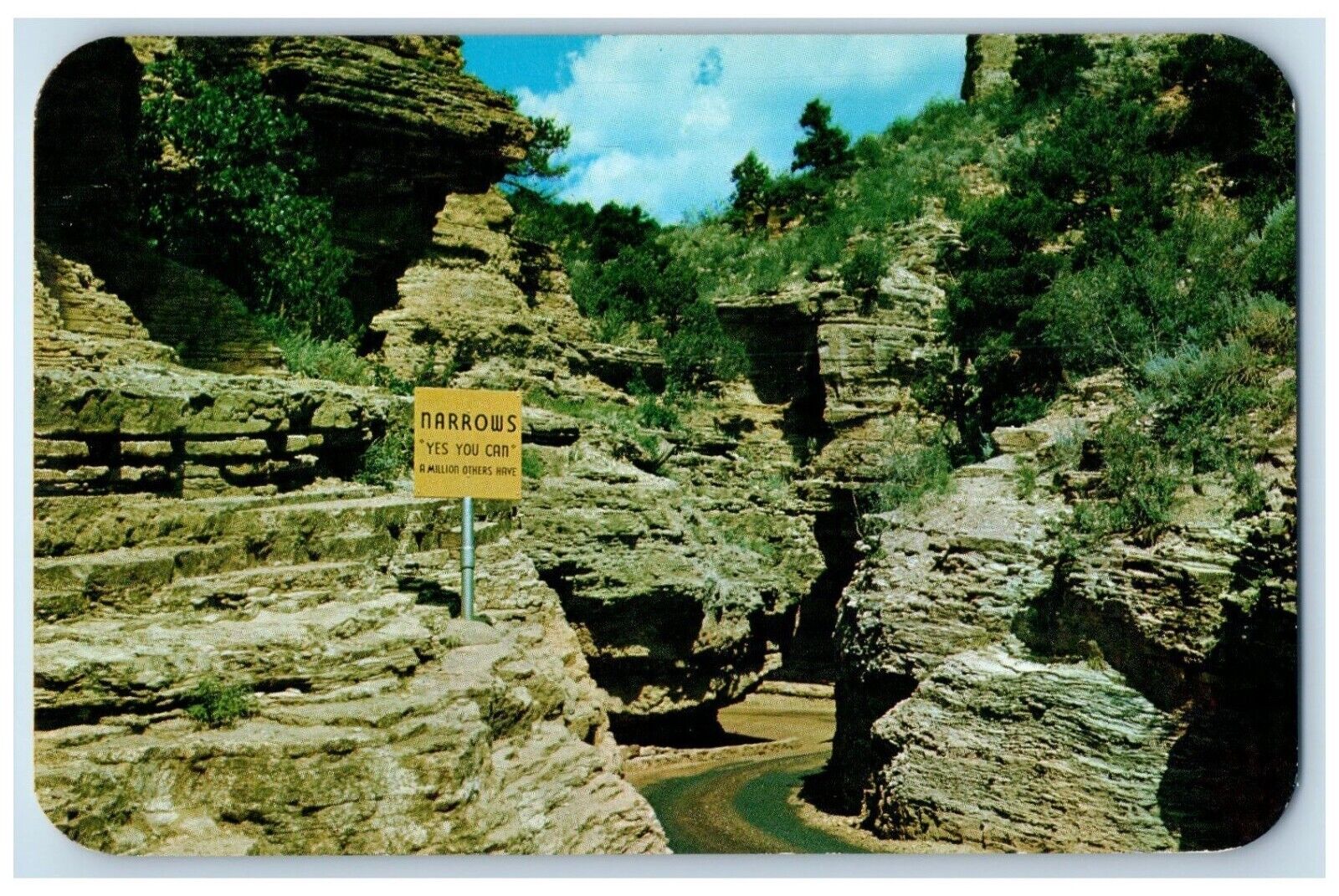 Narrows Yes You Can Sign In Williams Canon Manitou Springs Colorado CO Postcard