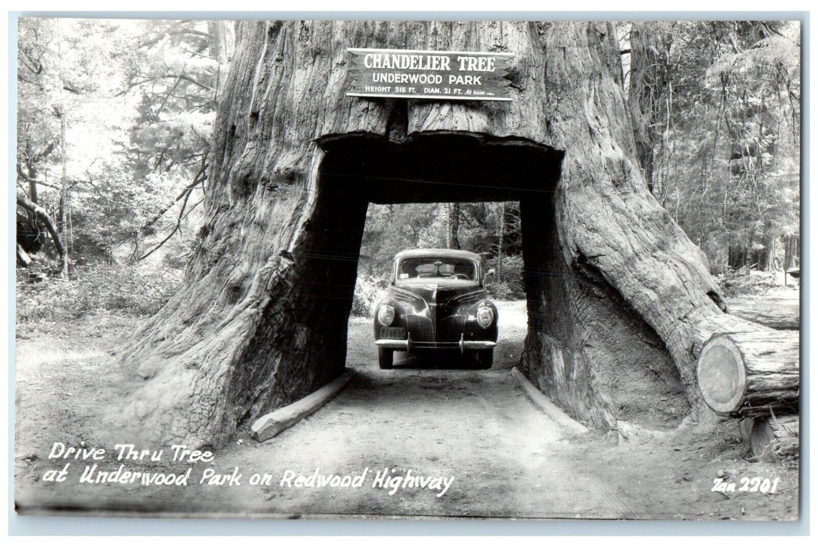 c1940's Drive Thru Tree At Underwood Park Redwood Highway CA RPPC Photo Postcard