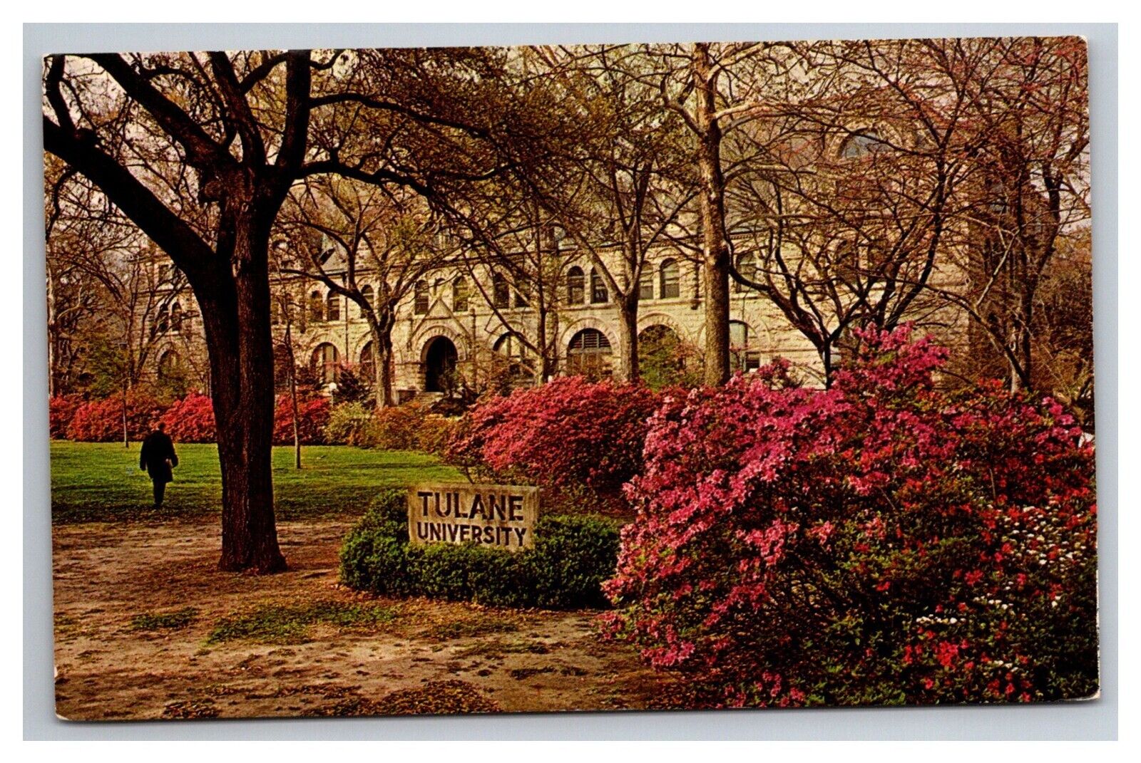 Postcard New Orleans Louisiana Tulane University Gibson Hall
