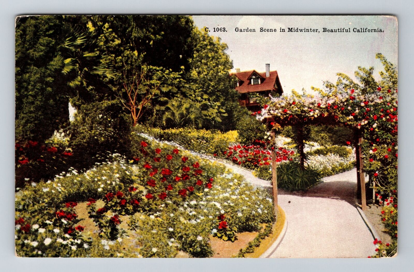 Midwinter CA-California, Garden Scene, Scenic View, Vintage Postcard