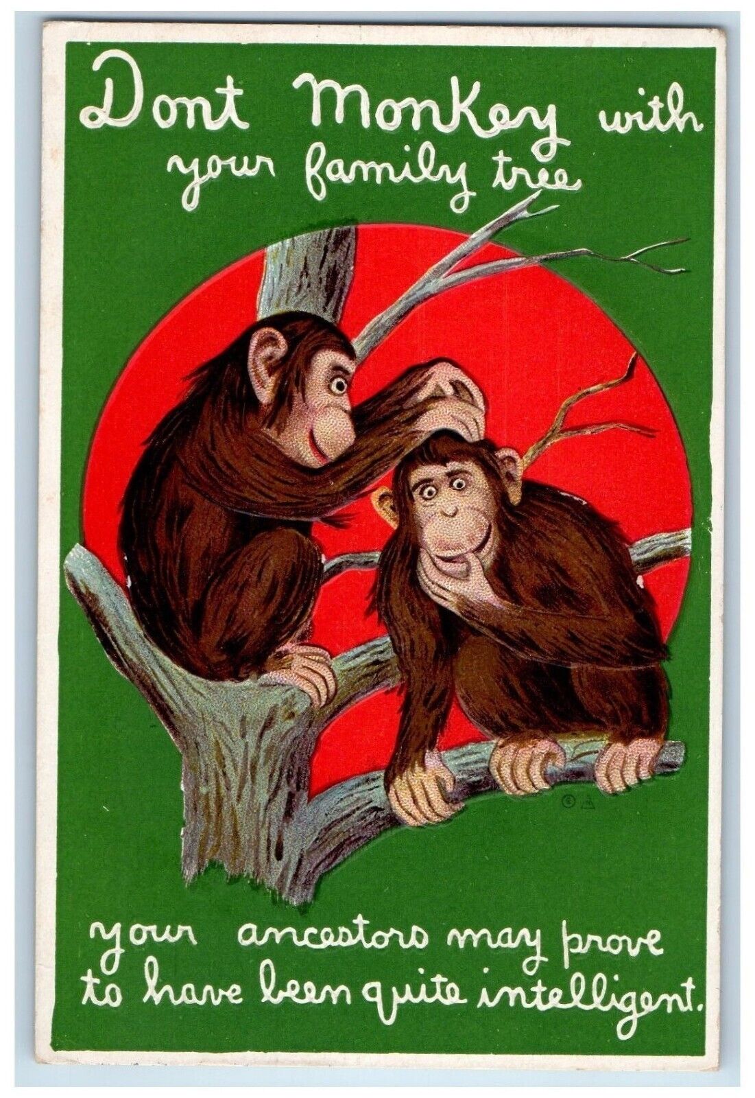 Nash Postcard Monkey With Your Family Tree Worcester Massachusetts MA 1913