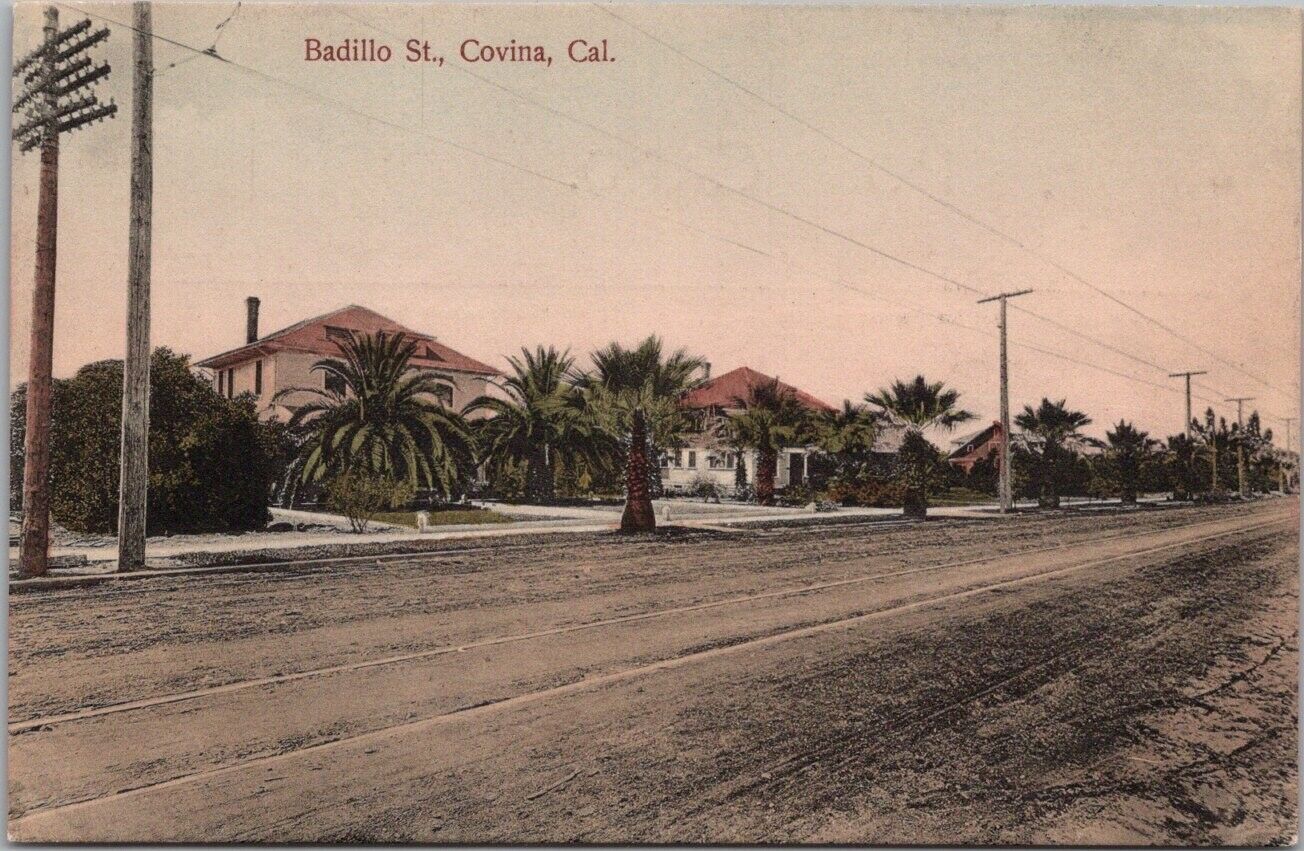 c1900s COVINA, California Postcard \