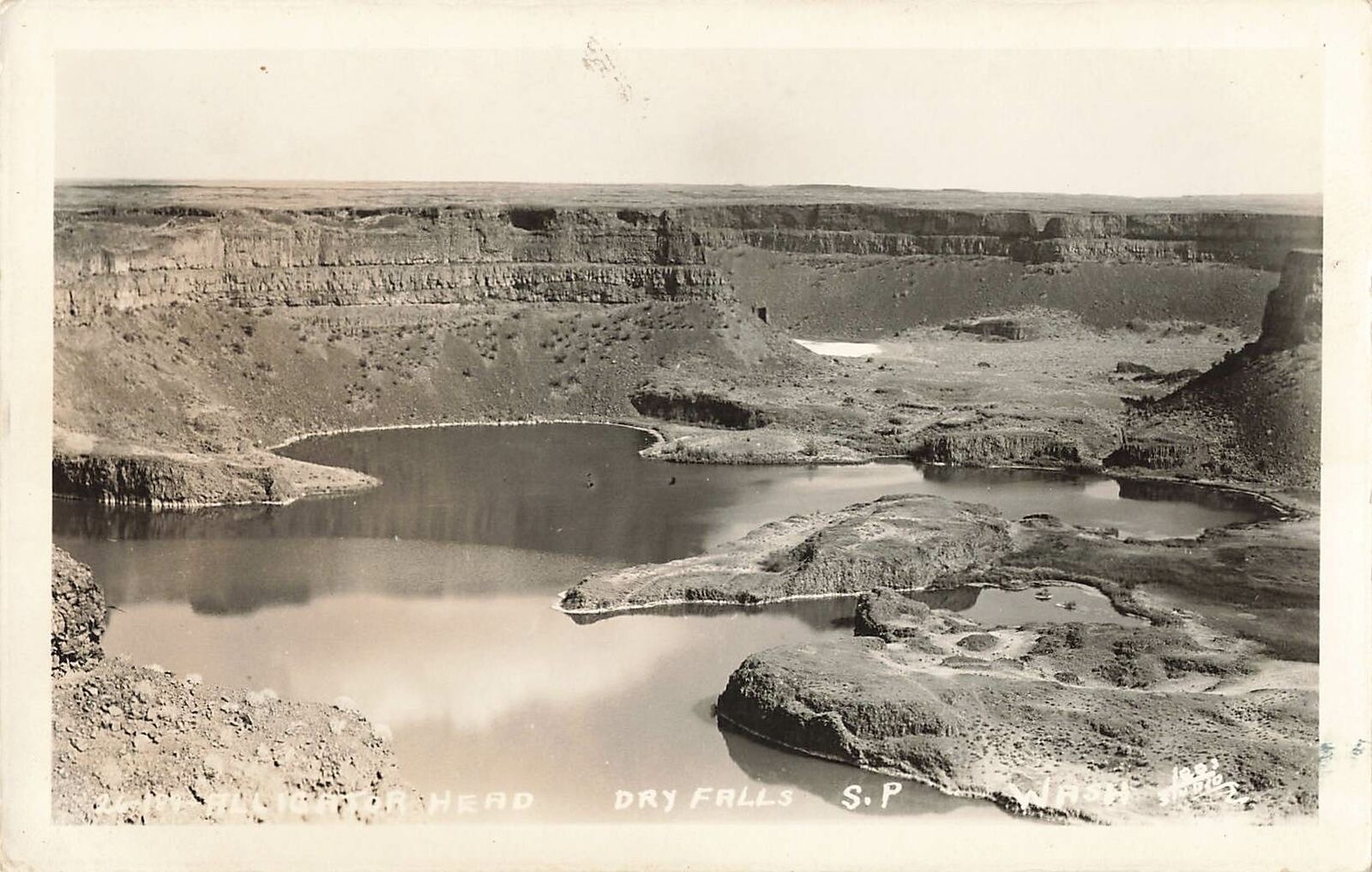 Vintage RPPC Postcard Alligator Head Dry Falls real photo Washington nature