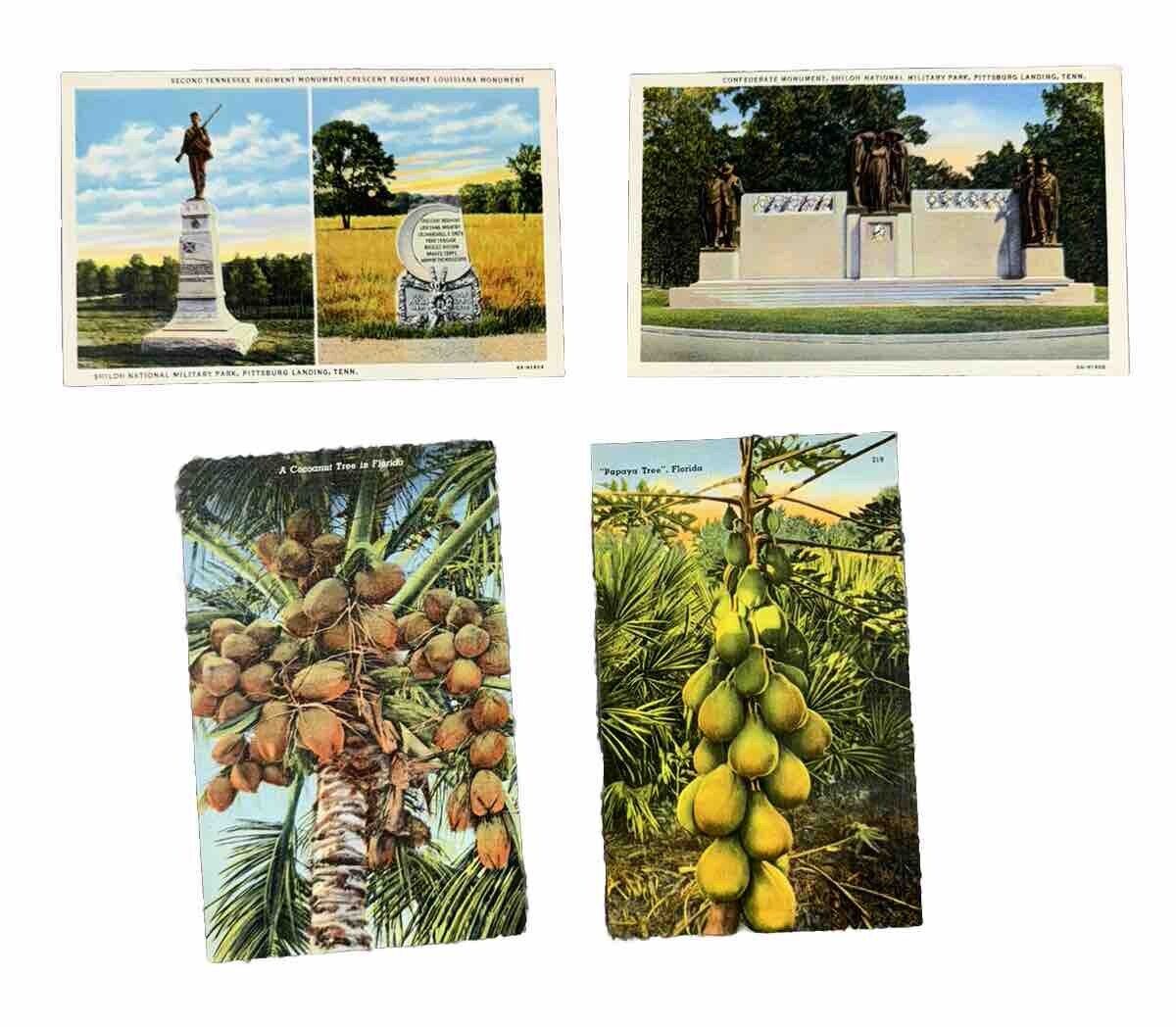 Lot of Four Vintage Post Cards. Unmarked. Two Florida And Two Civil War Monument