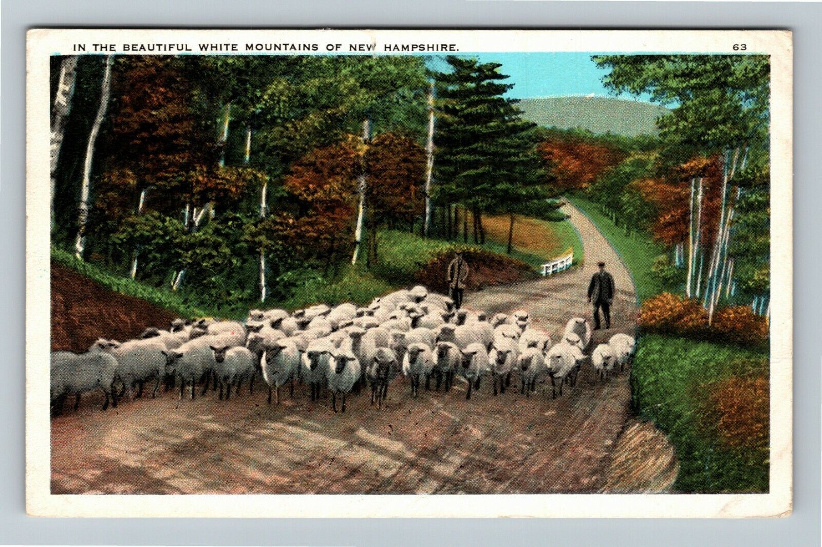 White Mountains NH-New Hampshire, Sheep On A Trail, c1930 Vintage Postcard