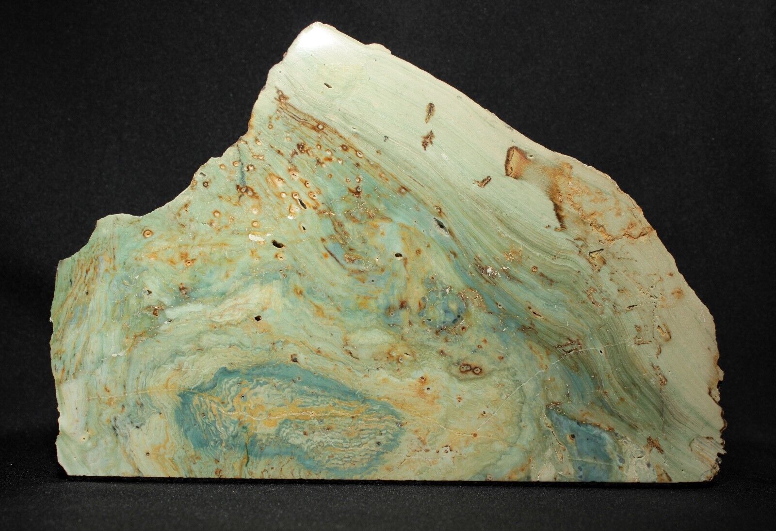 Miocene Petrified Bogwood (Green Jasper) from McDermitt, Oregon 936 grams