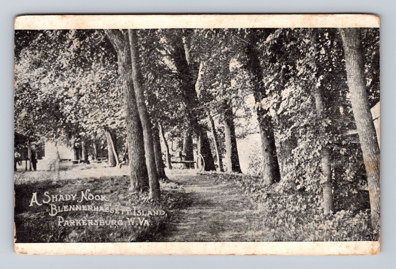 Parkersburg WV-West Virginia, A Shady Nook, Blennerhassett, Vintage Postcard