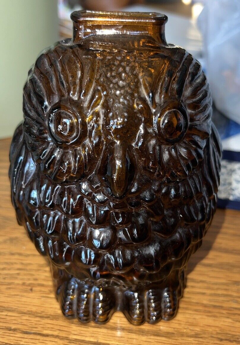 Vintage Amber Brown Glass Wise Old Owl Coin Bank 6 1/2\