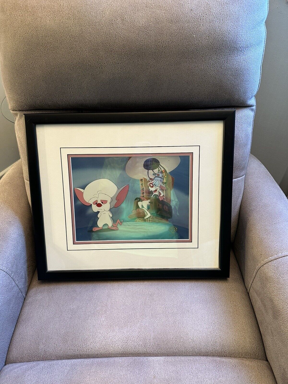 Pinky And The Brain Animation Cels