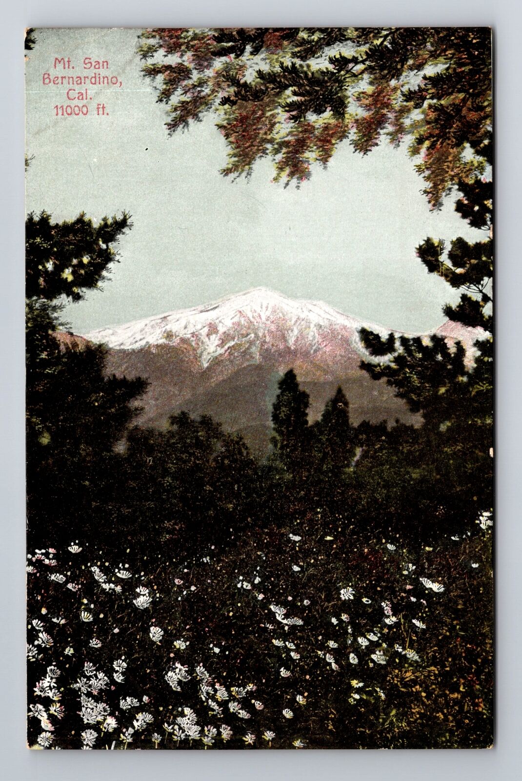 Bernardino CA-California, Mount San, Antique, Vintage Souvenir Postcard