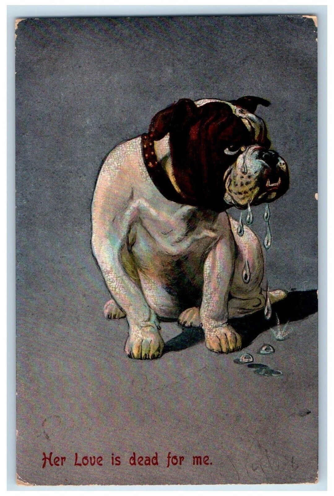 1908 Bull Dog Her Love Is Dead For Me Blaine & Seal RPO Posted Antique Postcard