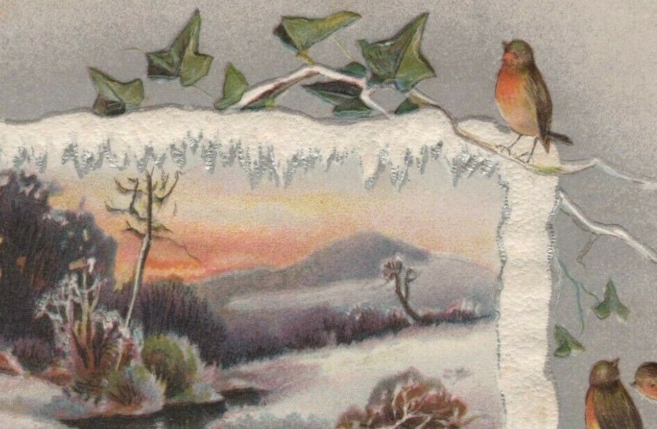 New Year icicles birds snow scene embossed German postcard A646