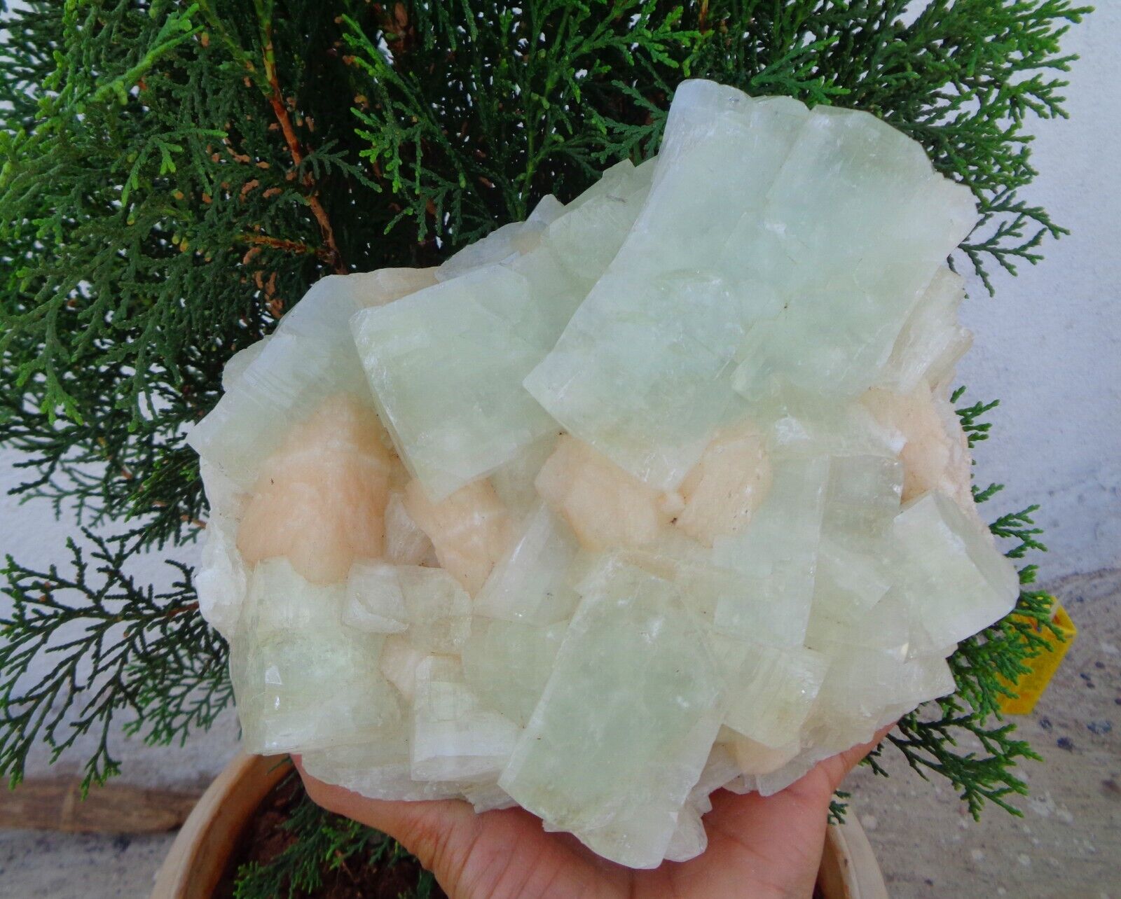 Light Green Apophyllite Crystals w/ Stilbite On Matrix Mineral Specimen