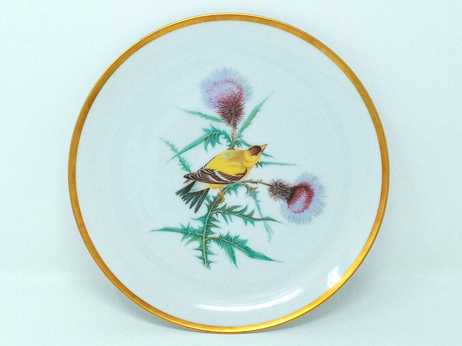 Goldfinch Audubon 8\