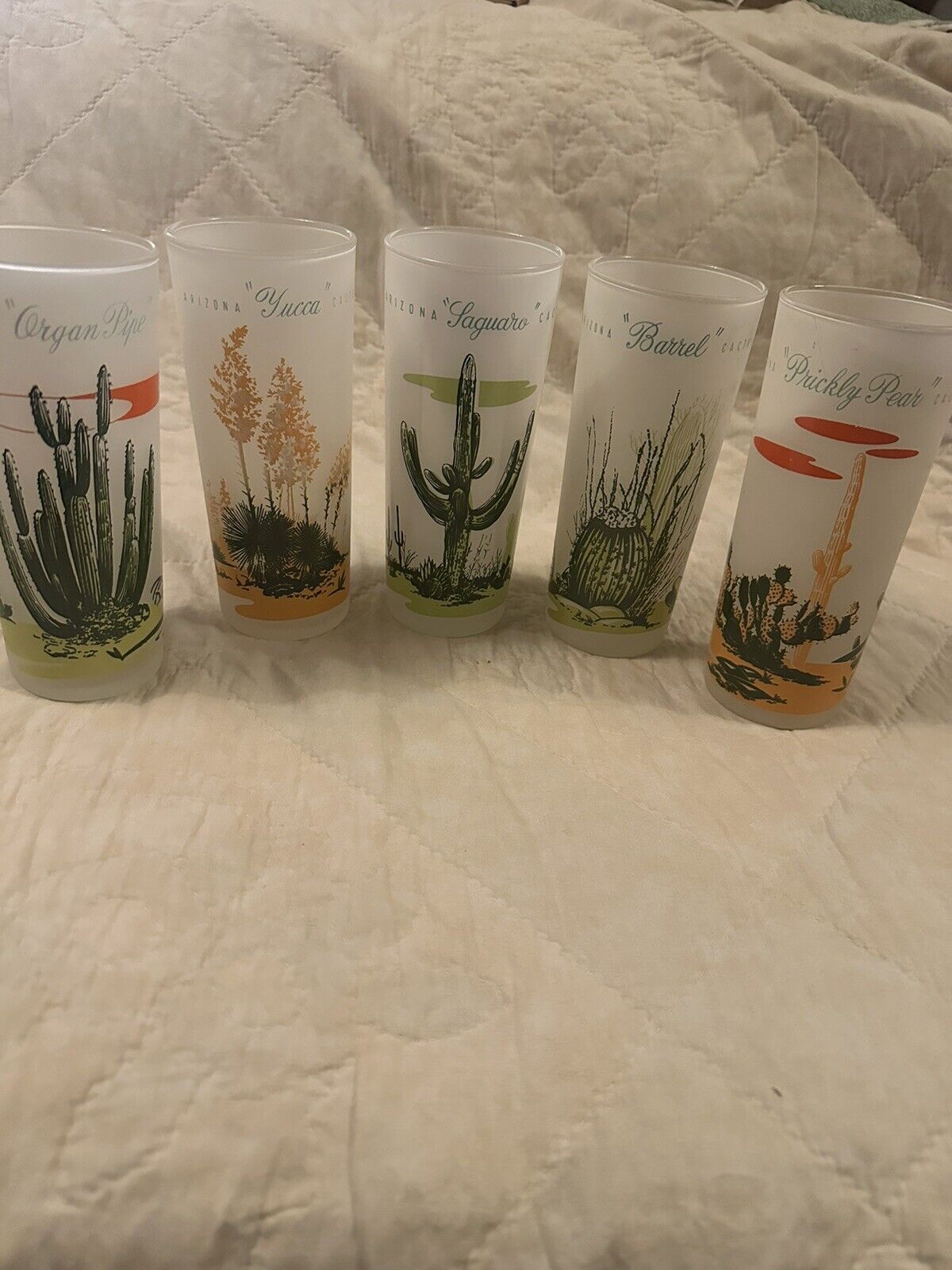 5 VTG BLAKELY OIL GAS AZ CACTUS COLLECTABLE TUMBLERS GLASSES FROSTED TOM COLLINS