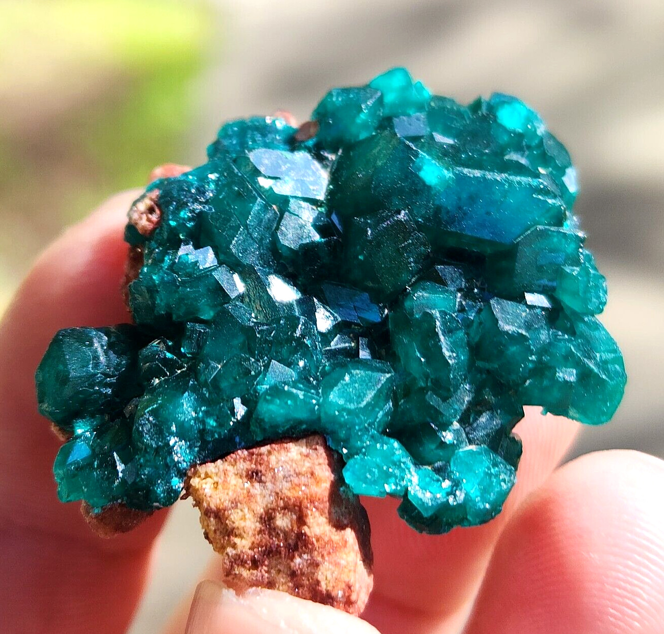 High Quality Dioptase Specimen From Namibia, 50gm, 5cm, US TOP Crystals