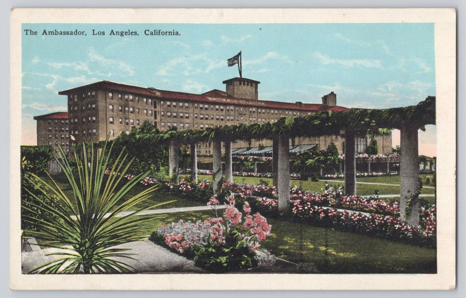 Postcard The Ambassador, Los Angeles, California