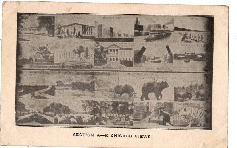 Postcard 1911 Section A-40 Chicago IL Views Mutiview