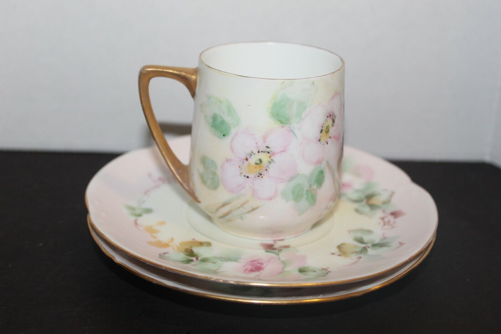 Hutschenreuther Plates And Rosenthal Tea Cup Bavaria Hand Painted Flowers 