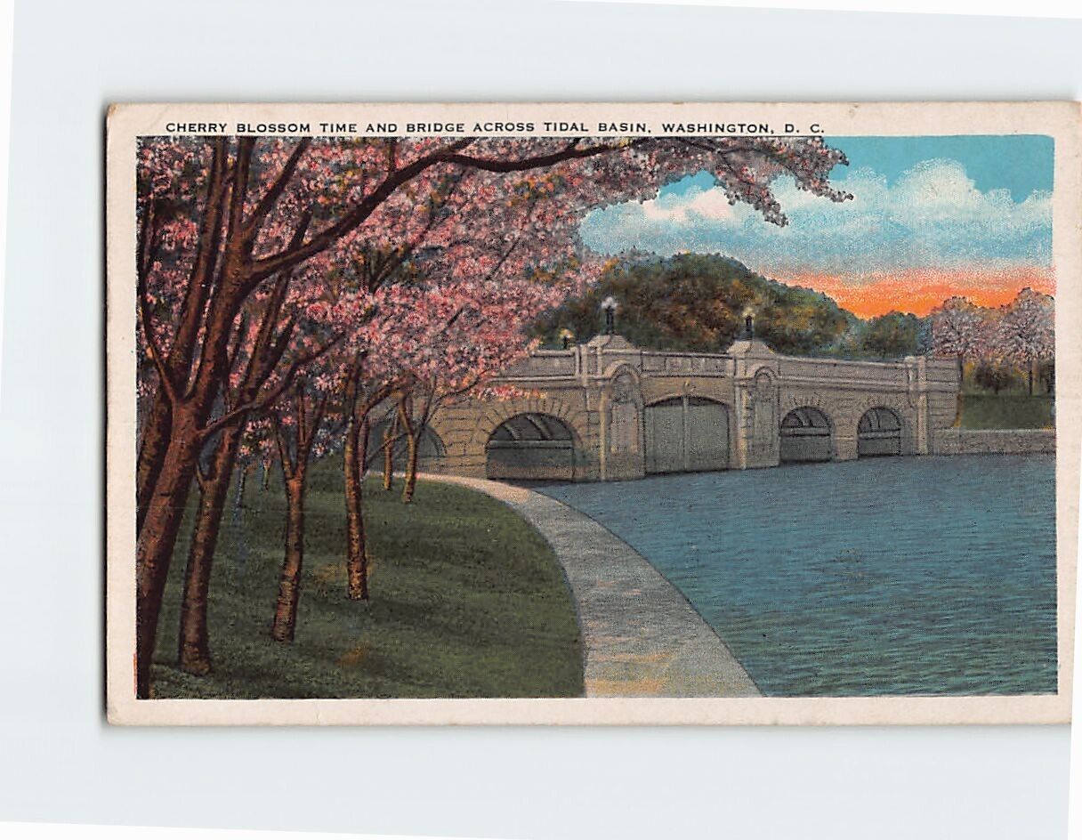 Postcard Cherry Blossom Time & Bridge Across Tidal Basin Washington DC USA