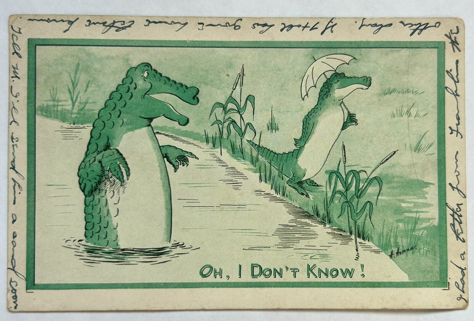 1911 Alligator couple postcard. Vintage humorous, funny.