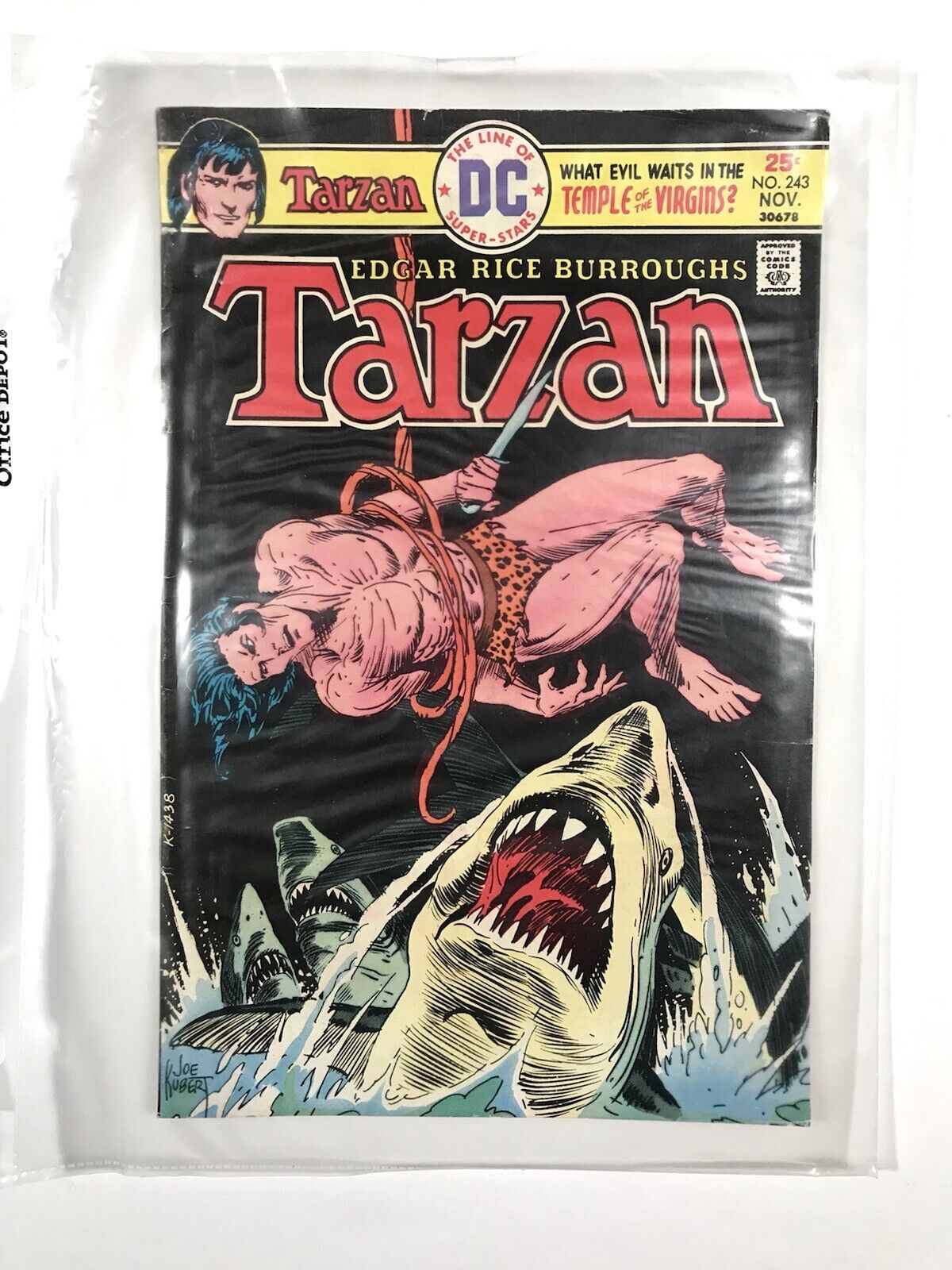 DC Comics Tarzan Nov. #243 - 004