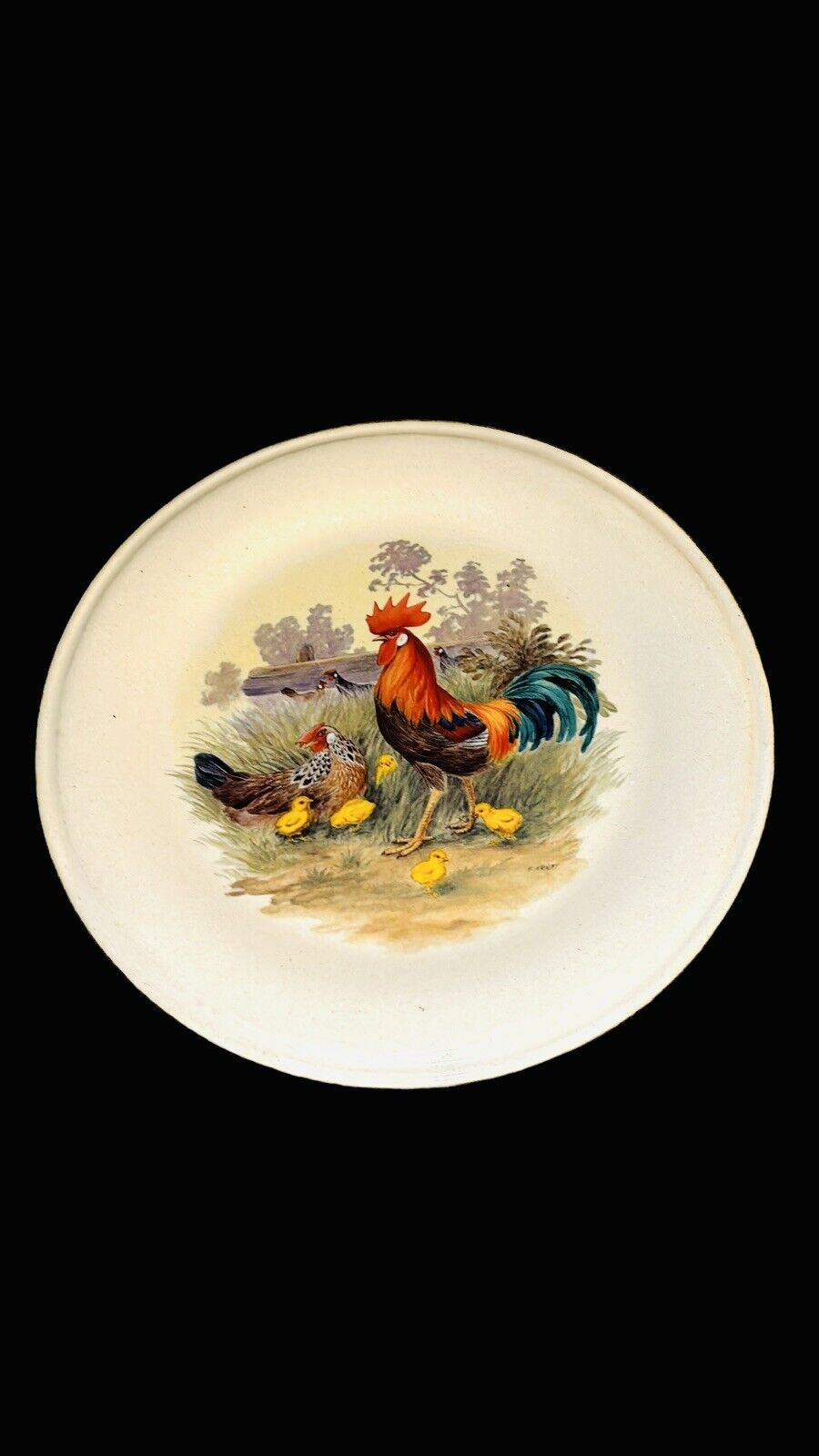Vintage Britannia Designs Rooster 10-1/4” Collectors Plate