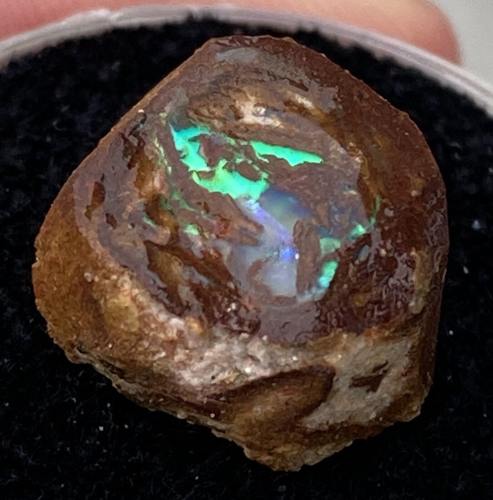 Fossil Opal Fossilised Wood Opals Precious Gemstone Stone Coloured Crystal Gems
