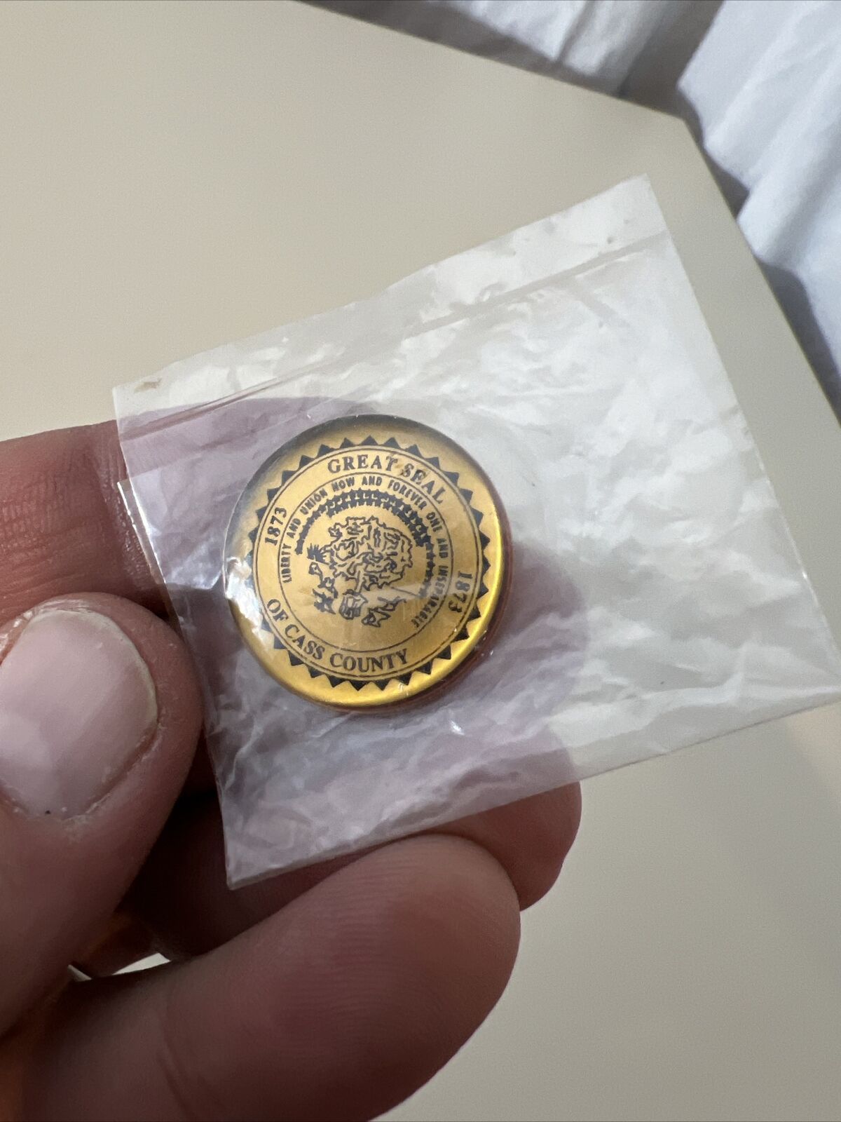 Vintage Pin Seal Of Cass County North Dakota