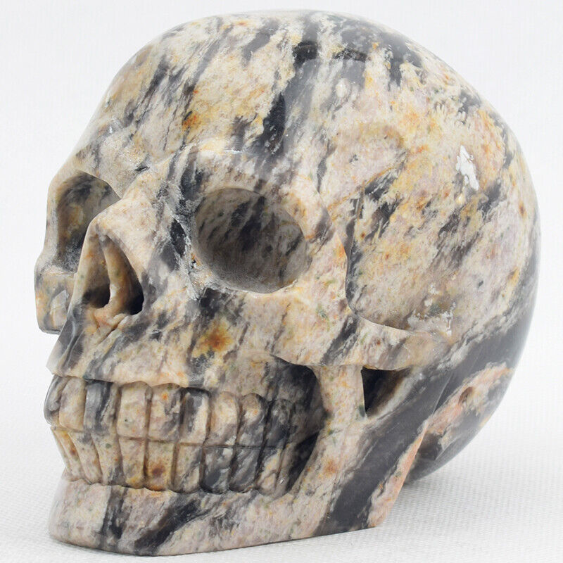 4.8\'\' Crazy Lace Agate Hand Carved Crystal Skull Figurine Healing Crafts,1655g