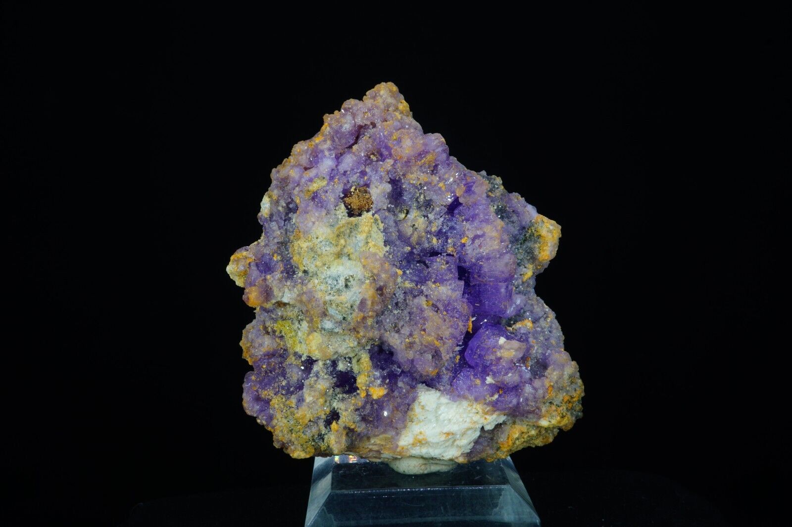 Coquimbite, Halotrichite & Copiapite / Rare Mineral Specimen / Javier Mine, Peru