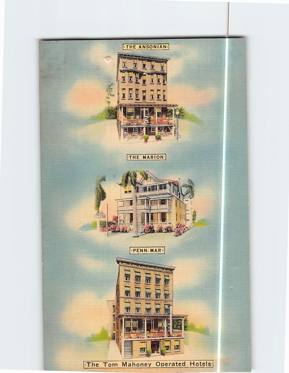 Postcard The Ansonian, The Marion & Penn-Mar The Tom Mahoney Operated Hotels USA