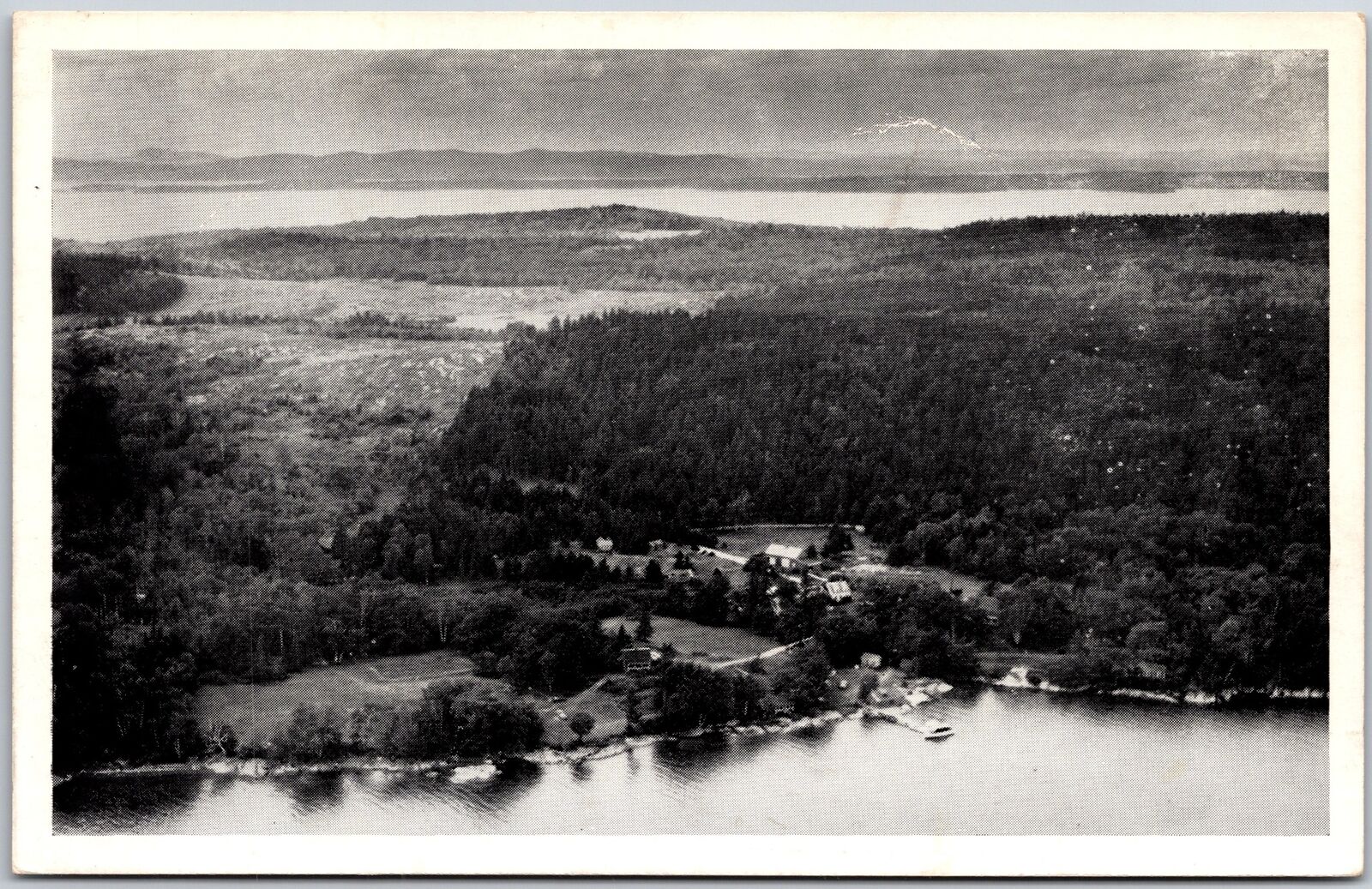 Hiram Blake's Camp on Penobscot Bay Maine ME Forest Trees Ocean View Postcard