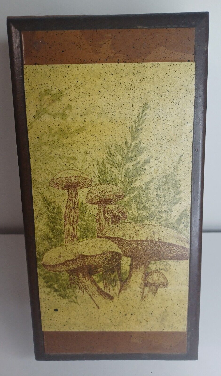 Vintage Mushroom Wooden Box Dark Brown 10x5 Mushrooms An Ferns Designed 