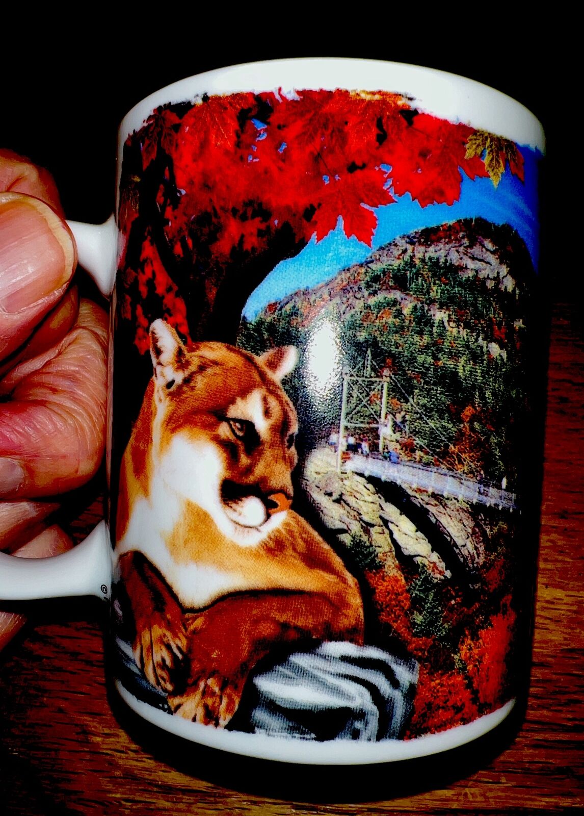 Grandfather Mountain- North Carolina  Coffee Mug -Souvenir