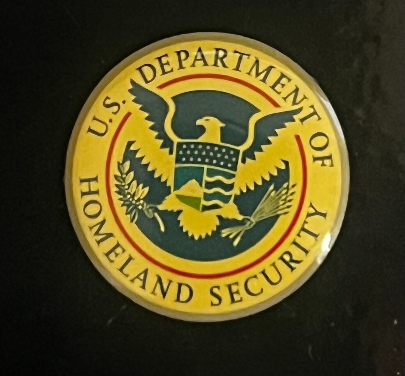 U.S. Department of Homeland Security Lapel Pin