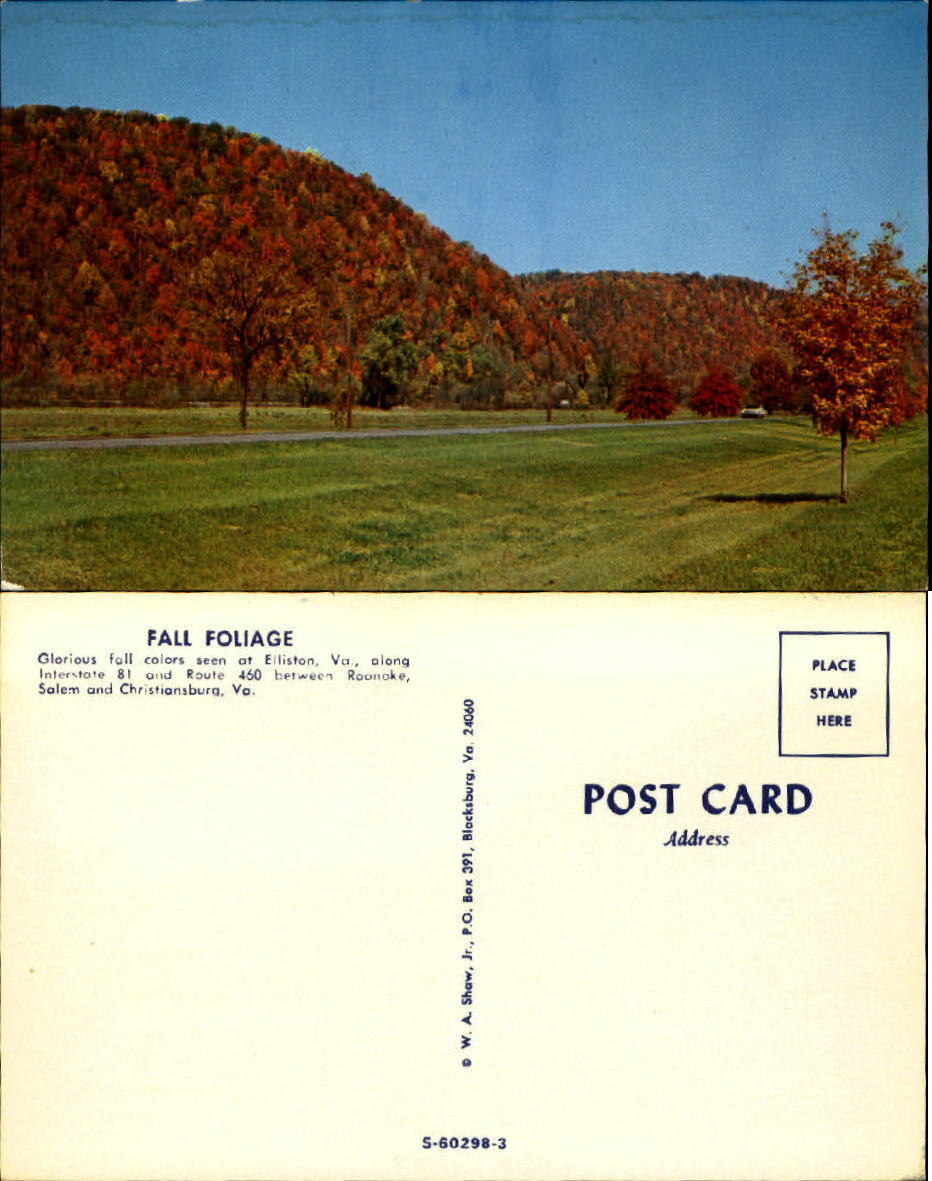 Autumn trees near Elliston Virginia Interstate 81 and Route 460 chrome 1970s