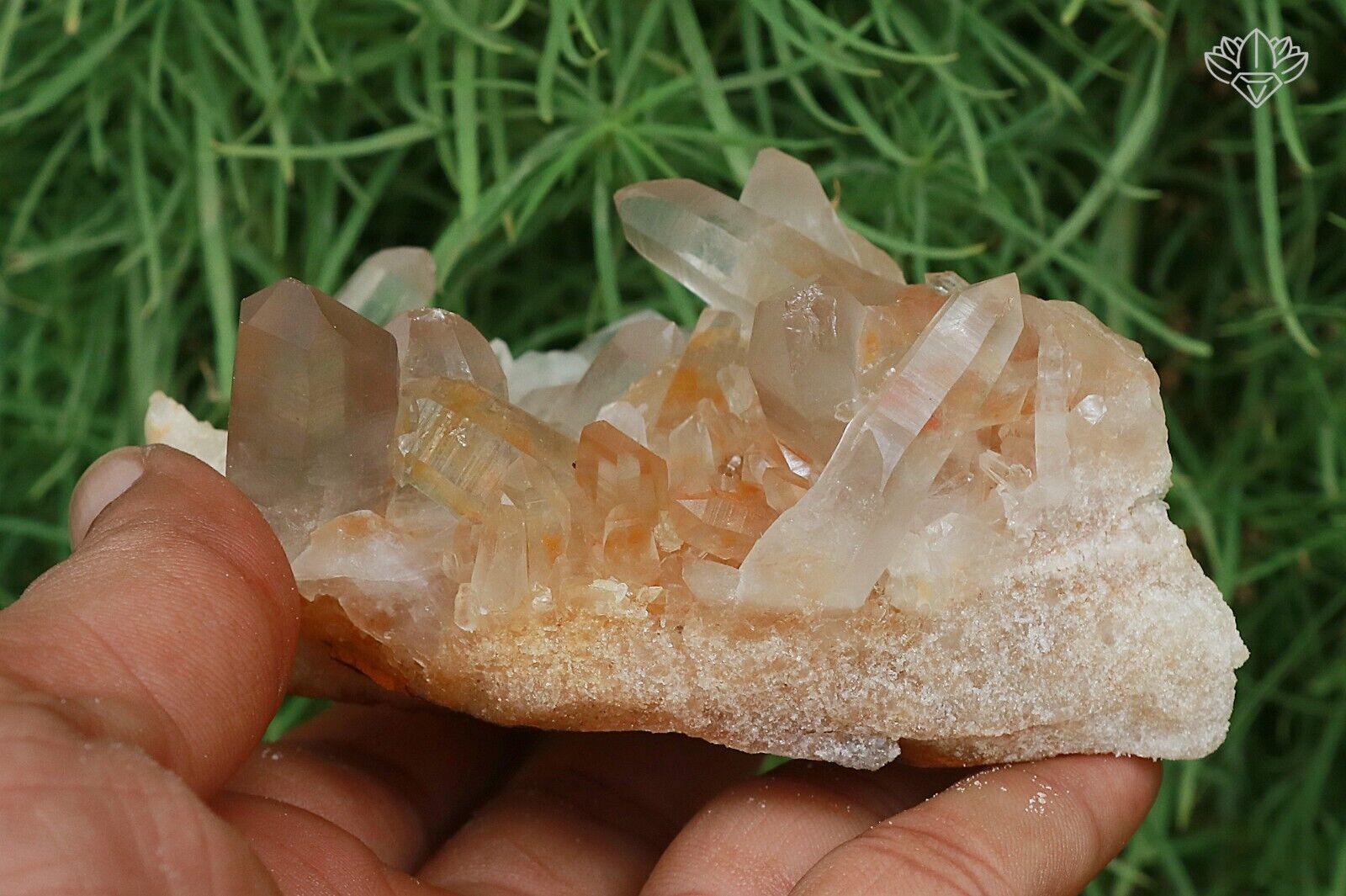 Yellow Quartz Crystal 344 gm Himalayan Samadhi Healing Natural Quartz Specimen