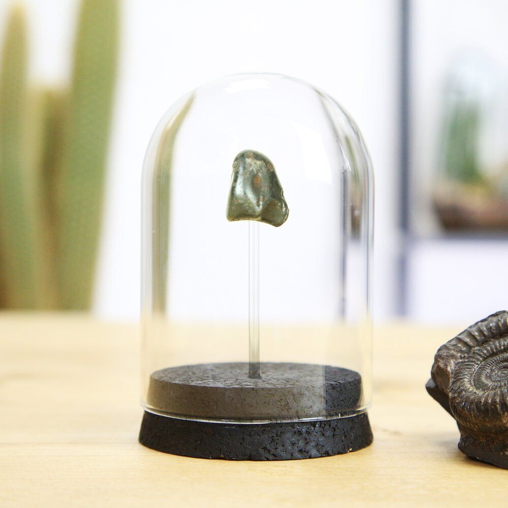 Tektite BelSikhote-Alin Meteorite Bell Jar- Museum Quality Piece / Real Meteor