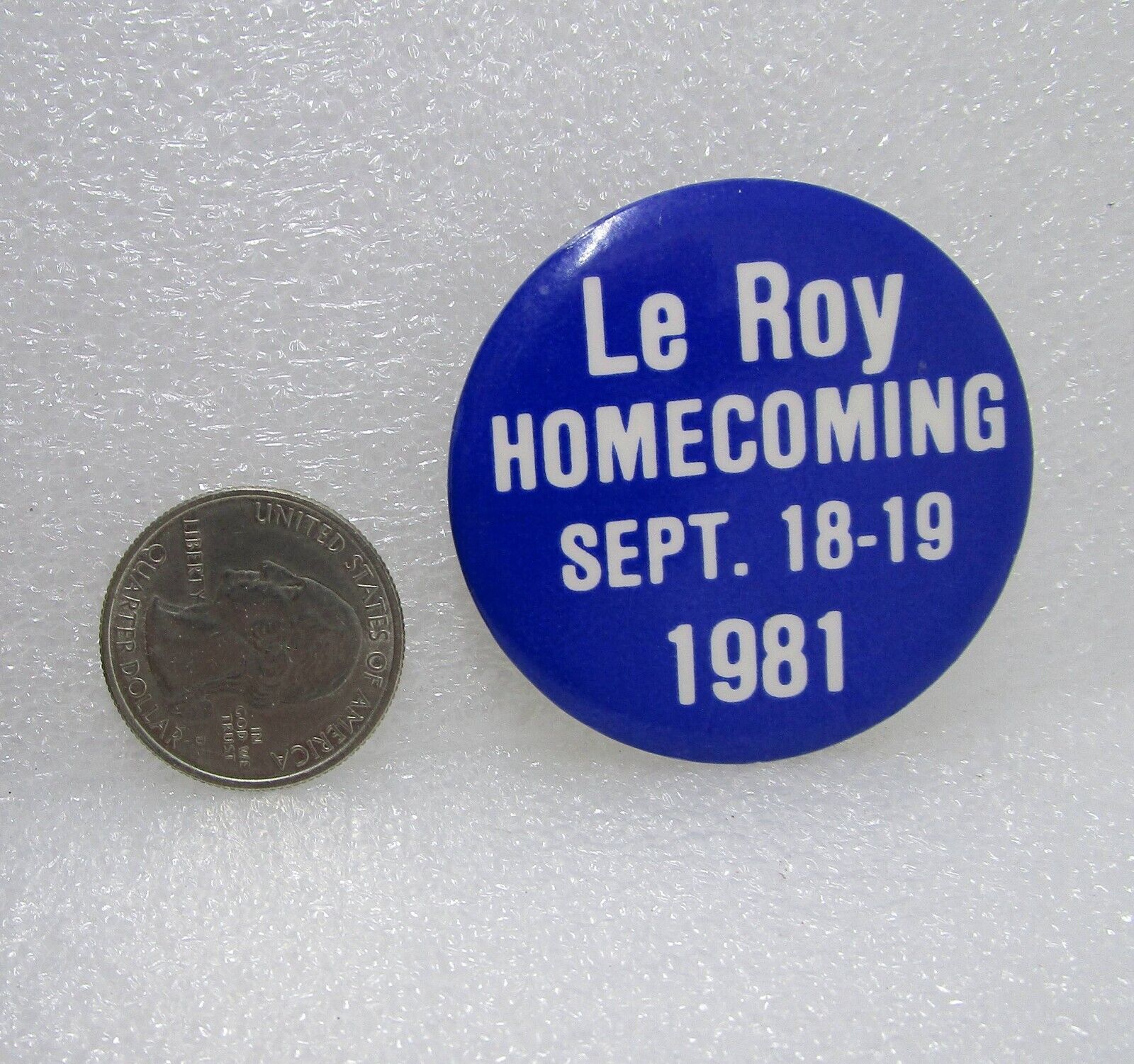 1981 Le Roy Homecoming Button Pin