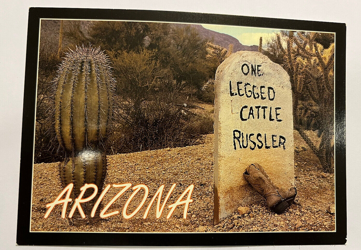 ARIZONA postcard One Legged Cattle Russler Tombstone