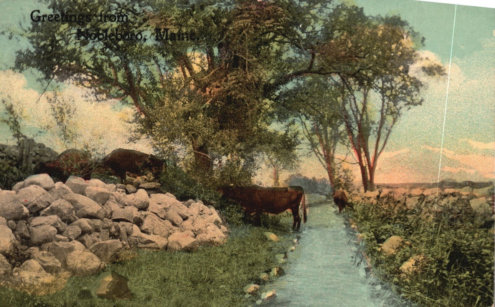 Vintage Postcard Greetings From Noobleboro Maine Cattles In The River Pasture ME
