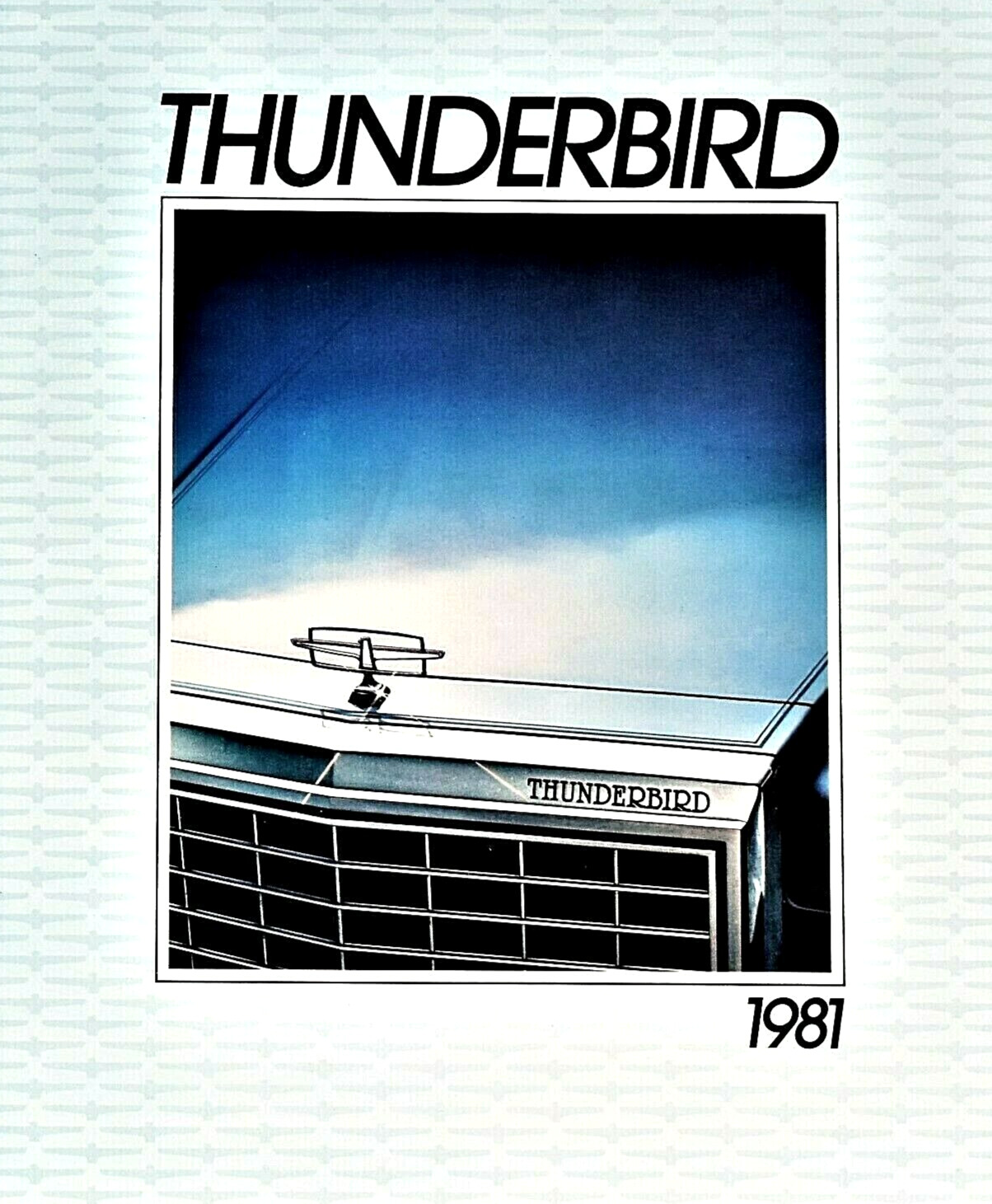 1981 FORD THUNDERBIRD PREMIUM SALES BROCHURE CATALOG ~ 16 PAGES ~ 9