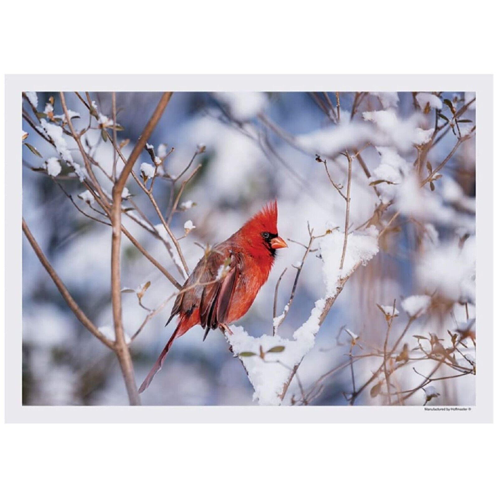 Cardinal in Snow Winter Paper Placemats - 10in. X 14in. - 25 Pack (702079)