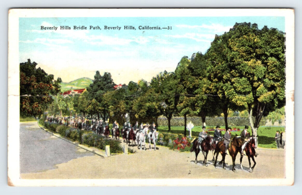 Beverly Hills Bridle Path Beverly Hills California Postcard APS16
