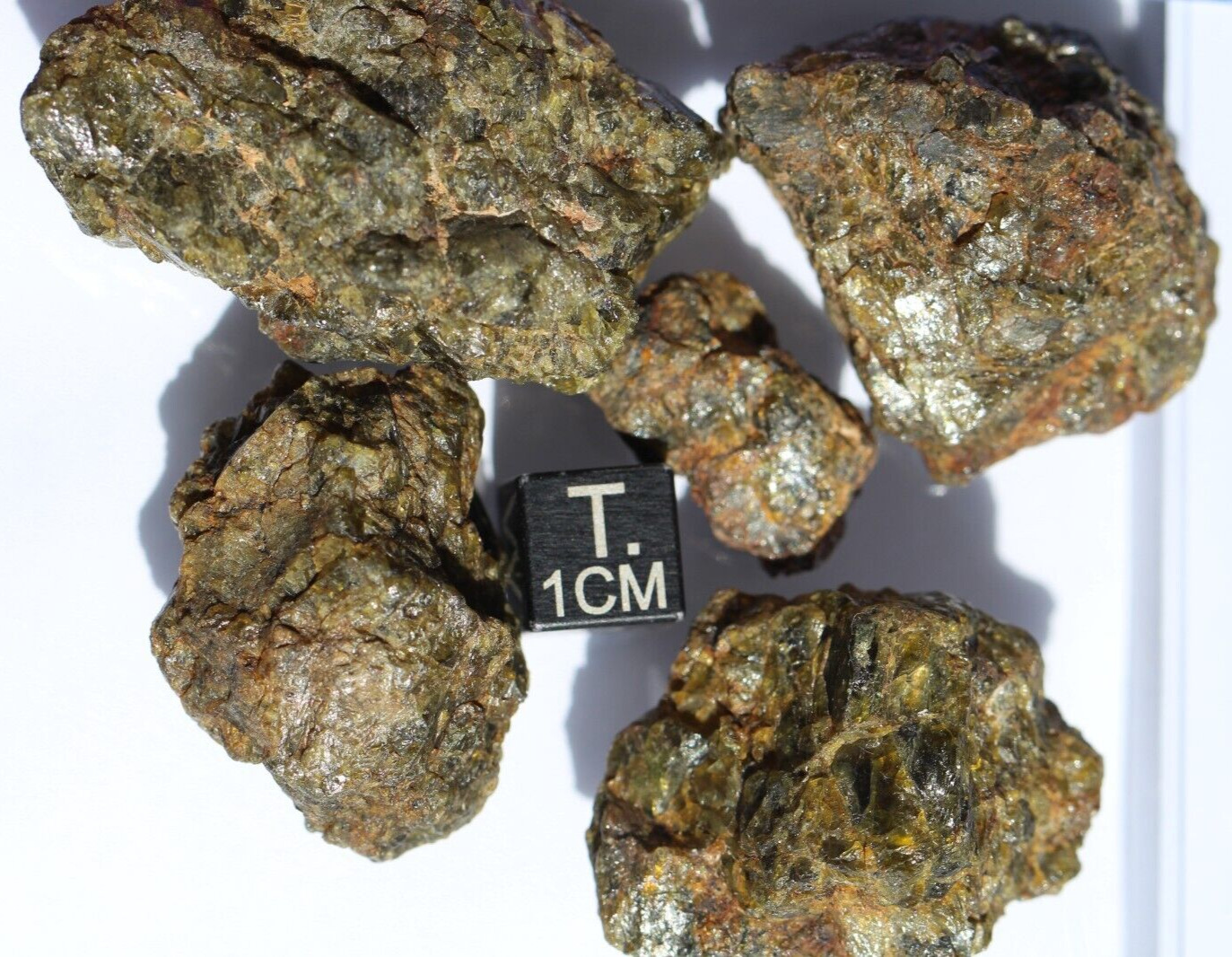 Meteorite NWA 7831 Diogenite HED Achondrite meteorite, 100 grams