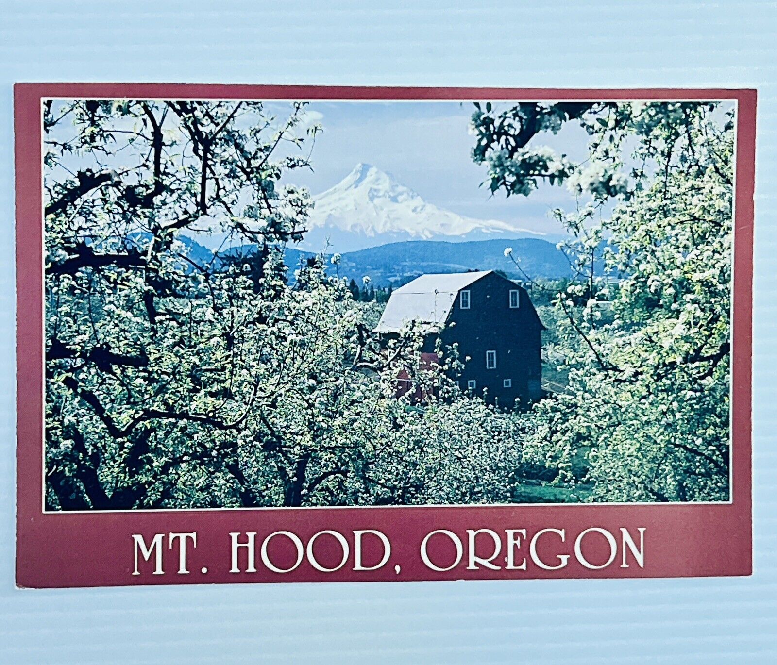 Oregon OR Apple Blossom Time Mt Hood Postcard Old Vintage Card View