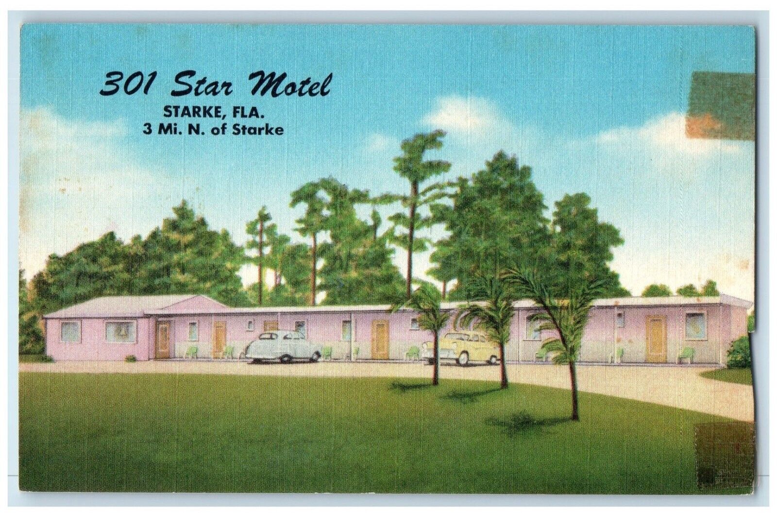 c1950's Star Motel Car And Trees Starke Florida FL Unposted Vintage Postcard