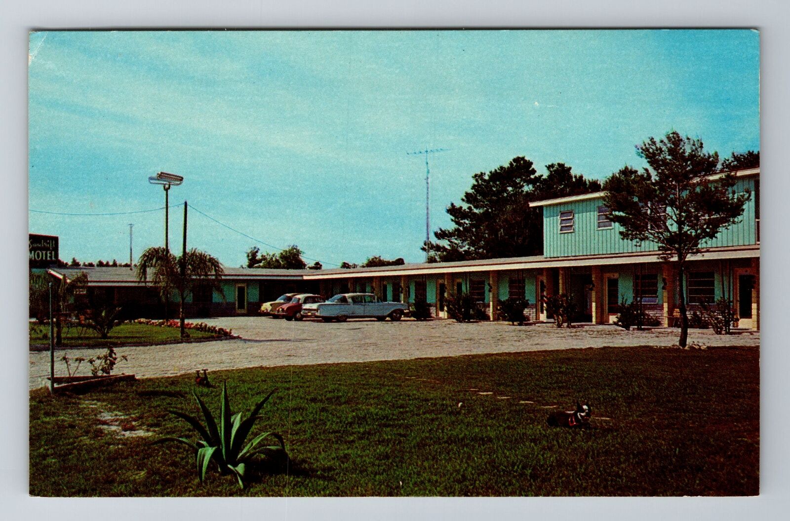 Sebastian, FL-Florida, Sandrift Motel Advertising Antique, Vintage Postcard
