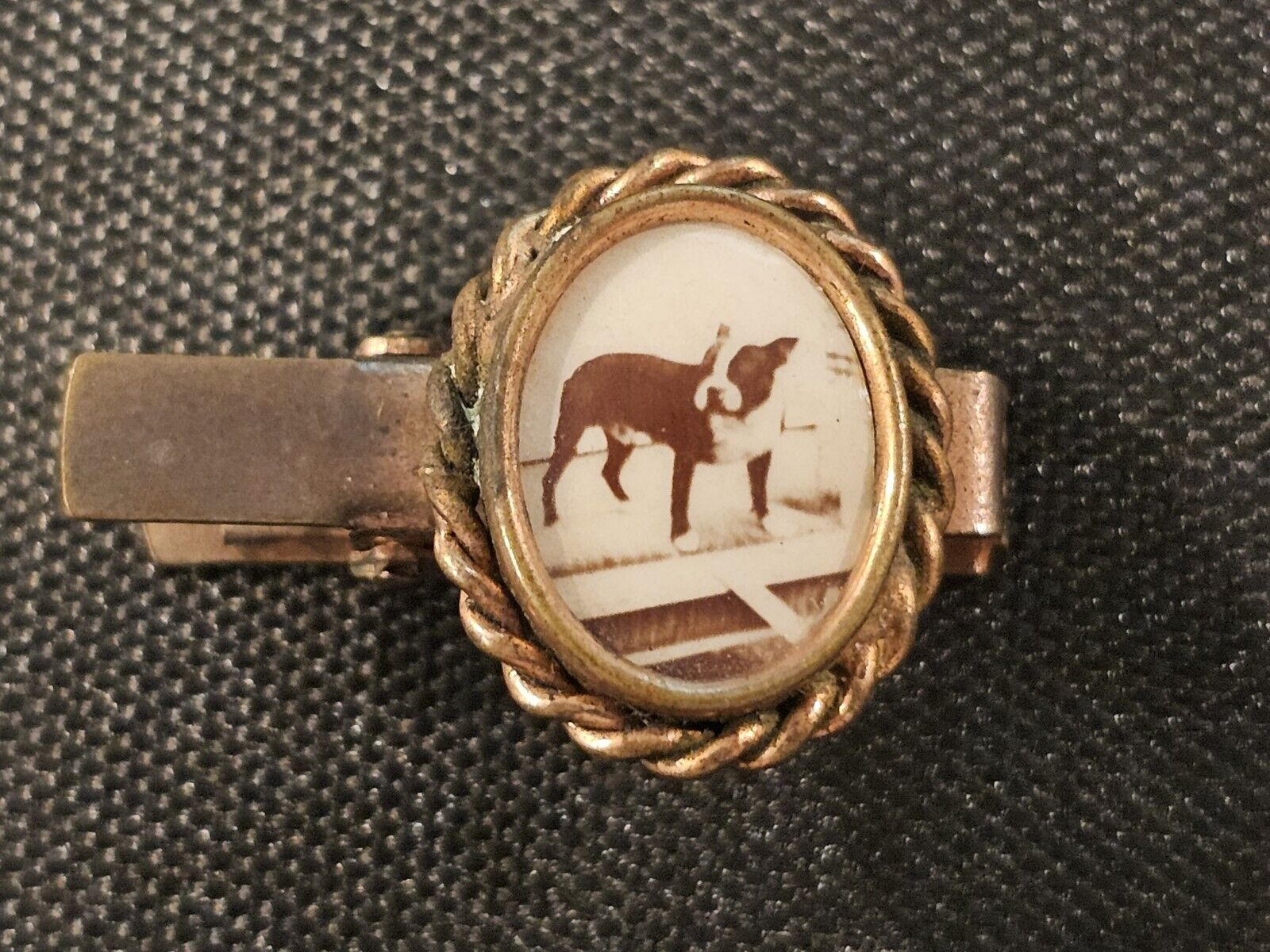 Antique Miniature Celluloid Bulldog Photo on Clip Excellent Condition & Clarity